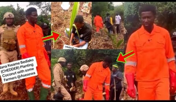 Cheddar Takes His Campaign To Farms, See What Happened To Him In The Bush, Video Causes A Stir