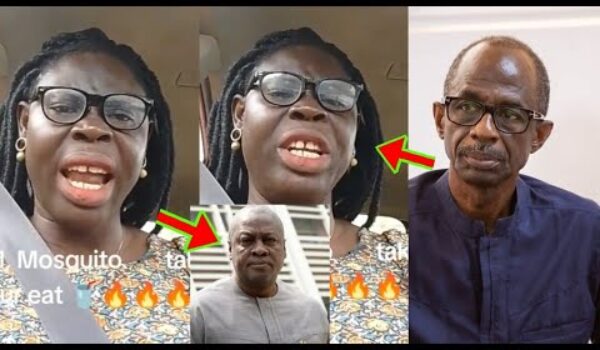 Asiedu Nketia Ne Mahama Y3 Nkwasiafuo Agyemifuo Mmoa, See How This Woman Is In$ulting JM, Mosquito