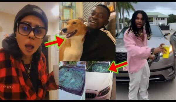 Afia Schwar Y3 Aboa, Afia Schwar Landed In Tr0uble, Ghana Fr@ud Boys F!ght: Part 2