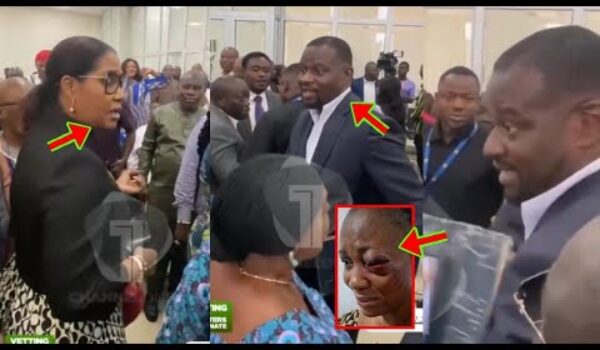 Fight In Parliament: See What Has Happened As Hon Annoh Dompreh And Ag. P.C Boss Emeafa Fights