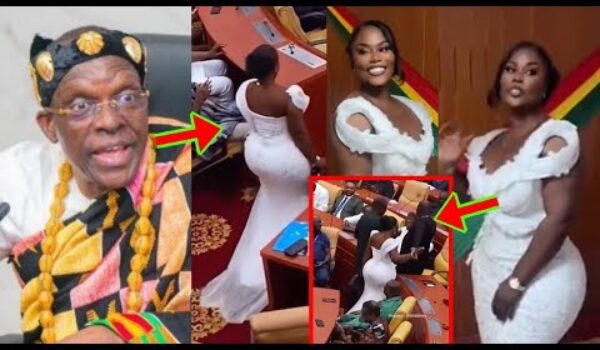 Are You Getting Married In Parliament? This Outfit Is Very Bad, MP Dorcas Toffey Blasted