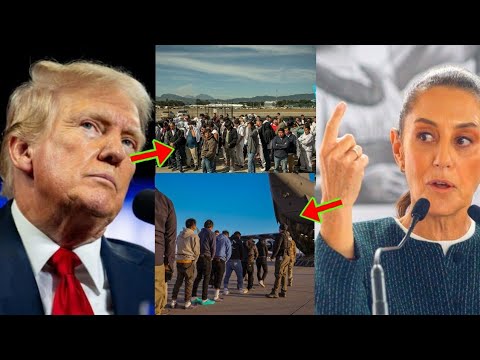 Read more about the article U.S Mass Deportation Part 3: Mexico Female President Boldly Silenced Donald Trump Over Deportations