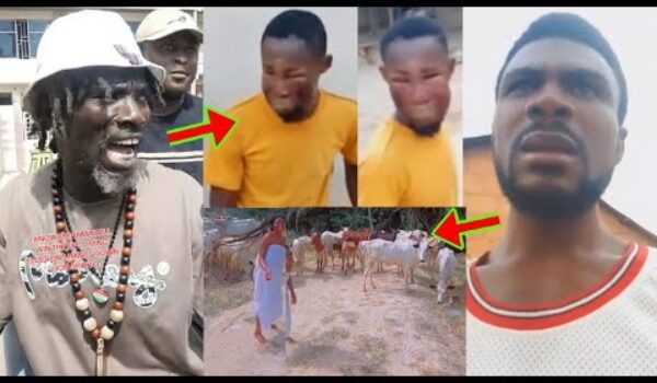 Cow Stealer Landed In Trouble As He Swiftly Returned Cow He Had Stolen, Spirito Shows His Power