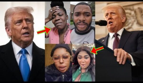 Check The Valentine Wishes Donald Trump Has Sent To All Illegal Immigrants In The U.S