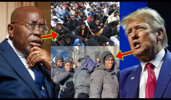 New Update: I Will Deport All Ghanaians Even If You Have A Green Card, Donald Trump Shøck Ghanaians