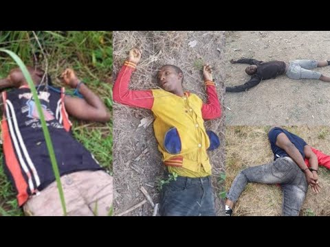 Read more about the article Breaking News: Ghana Is Not Sáfe Anymore, 5 People K!lled In A Forest, Watch Sád Vidéo