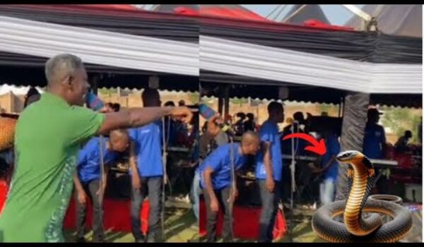 Watch Shøcking Moment A Big Snake Appears At Agya Koo’s Program