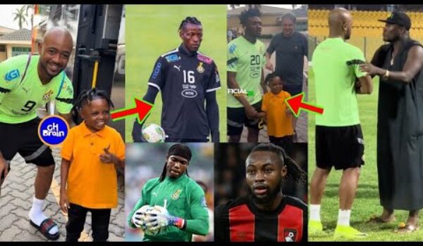 Meet Black Stars New Goalkeeper, Some Players Are Disgracing Themselves As A. Gyan Speaks To J. Ayew