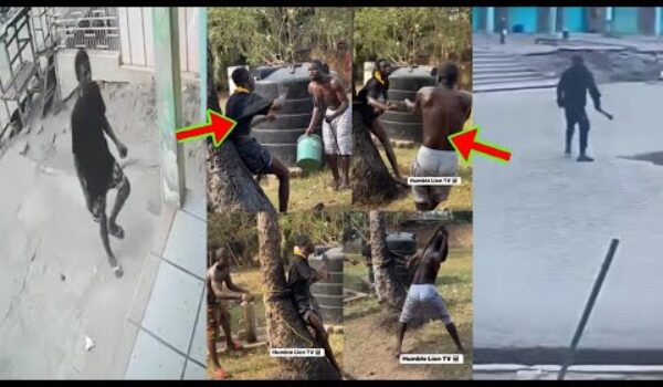 The Momo Vendor Vs The Arm£d R0bbers B@ttle, Full Video Released As One Th!ef Bu$ted