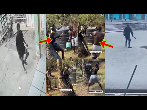 Read more about the article The Momo Vendor Vs The Arm£d R0bbers B@ttle, Full Video Released As One Th!ef Bu$ted