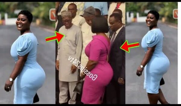 Watch How Jomoro MP, Hon Dorcas Affo Toffey Caused Confusion In Parliament With Her Big ßutt