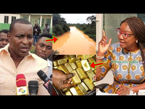 Read more about the article Prez Mahama Is Seizing All Wontumi’s Gold To Clean The Dirty Water, Special Aid Joyce Bawah Reveals