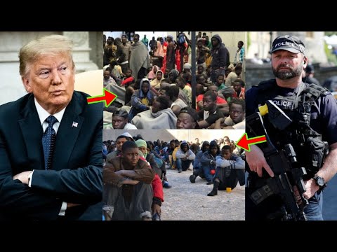 Read more about the article Sad News, More Ghanaian Students Studying In The US Detained And Their Visas Revoked