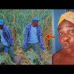 Animguase3, Dormaahene Runs Away As Court Chases Him. See How Dormaafuo Are Laughing At Him