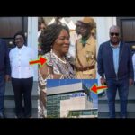 Check What Ghana Female Vice President, Professor Naana Jane Has Done For Ghana