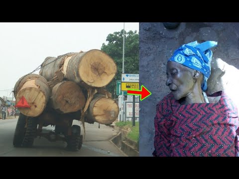 Read more about the article Sad, Old Woman Head Reportedly M!ssing After Timber Car F£LL On Her & Her Grandchild At Bibiani