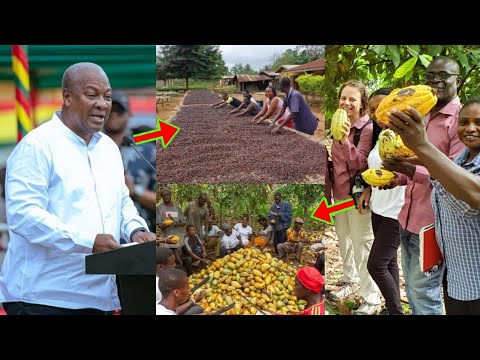 Read more about the article Aban Papa Aba, Good News For Cocoa Farmers As Prz Mahama Speaks To Farmers