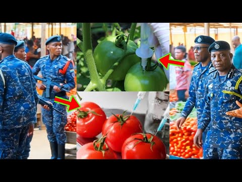 Read more about the article See The Danger0us Chemical Ghana Market Women Are Injecting Into Green Tomatoes To Ripe Within 2mins