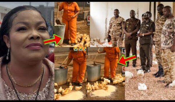 Agradaa Is Doing “Nkokɔ Nkitinkiti” (Poultry Farming) In Prison, See How She’s Working Hard