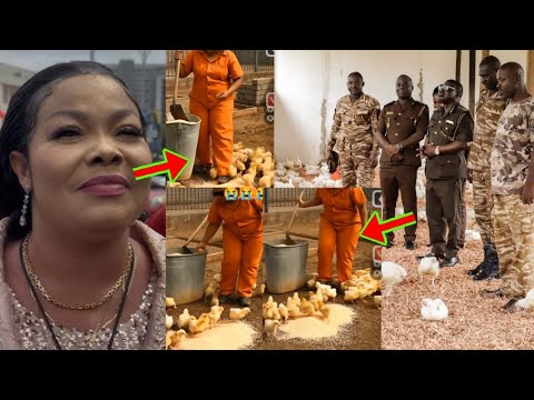 Read more about the article Agradaa Is Doing “Nkokɔ Nkitinkiti” (Poultry Farming) In Prison, See How She’s Working Hard