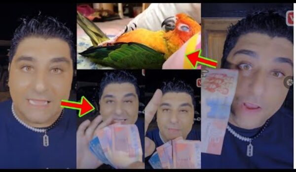 Kumasi Boys Have Scammed Me With A De@d Parrot, They Told Me It’s Sleeping, White Man In Ghana Cries