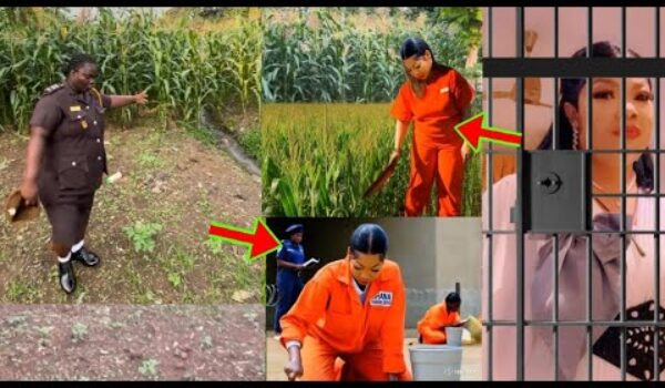 Watch How Billionaire Agradaa Is Doing Hard Labour While In Prison