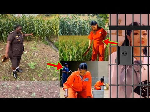 Read more about the article Watch How Billionaire Agradaa Is Doing Hard Labour While In Prison