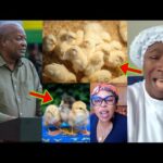 Cecilia Marfo Hilariously Questioned Prz Mahama Over Nkokɔ Nkitinkiti Project, Afia Schwar Reacted
