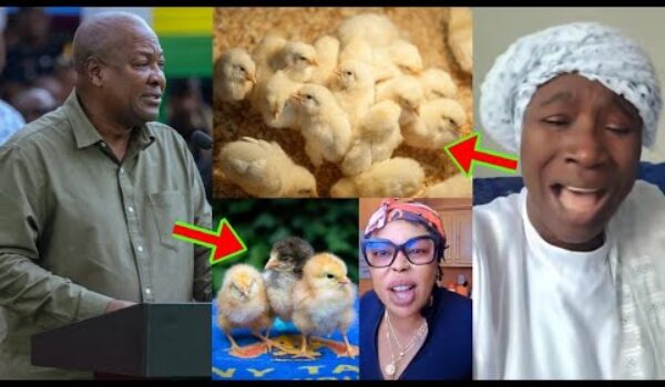 Cecilia Marfo Hilariously Questioned Prz Mahama Over Nkokɔ Nkitinkiti Project, Afia Schwar Reacted