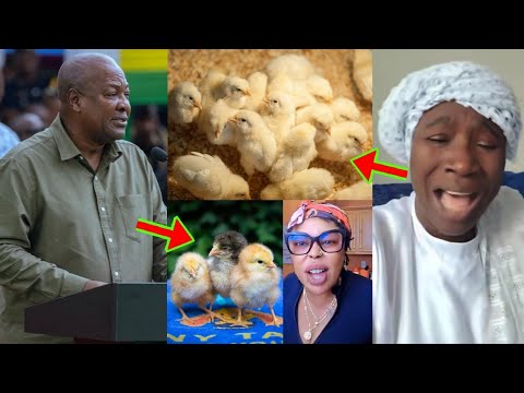 Read more about the article Cecilia Marfo Hilariously Questioned Prz Mahama Over Nkokɔ Nkitinkiti Project, Afia Schwar Reacted