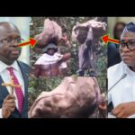 Nipa ns3 hwee; Watch How Dr. Omane Boamah And Other 7 Pe0ple Remains Was Conveyed In A Cocoa Sack