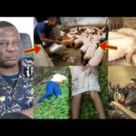 Man K!lled Two Women To Feed His Pigs As Police Arr£sted Him