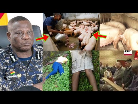 Read more about the article Man K!lled Two Women To Feed His Pigs As Police Arr£sted Him