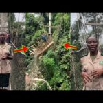 The Kaakum Canopy Walkway Has C0llapsed And K!lled Pe0ple?? One Of Their Workers Breaks Silence