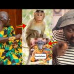 Ah, See How Some Nigerians Are Disresp£cting And M0cking Asantehene Otumfuo On Tiktok