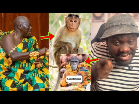 Read more about the article Ah, See How Some Nigerians Are Disresp£cting And M0cking Asantehene Otumfuo On Tiktok