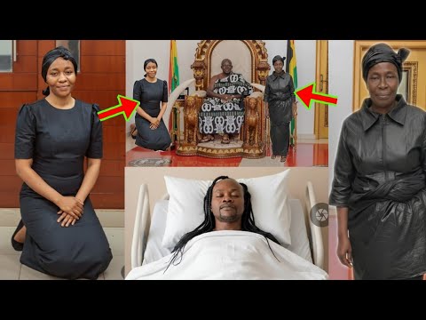 Read more about the article Serious Misunderstanding Erupts As Otumfuo Tries To Settle Akosua Serwaa And Odo Broni’s Case