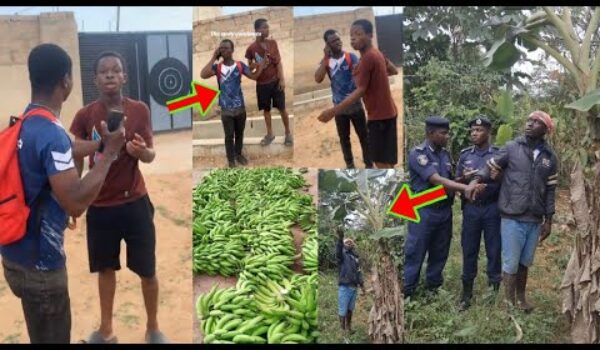 Plantain Stealer Busted, Phone Stealer Also Grabbed, Watch Their Videos