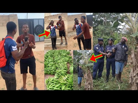 Read more about the article Plantain Stealer Busted, Phone Stealer Also Grabbed, Watch Their Videos