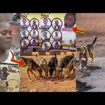Dunkwa Incident: Dogs Ate Their Remains; Sad Story Of How A Whole Family Departed From Earth