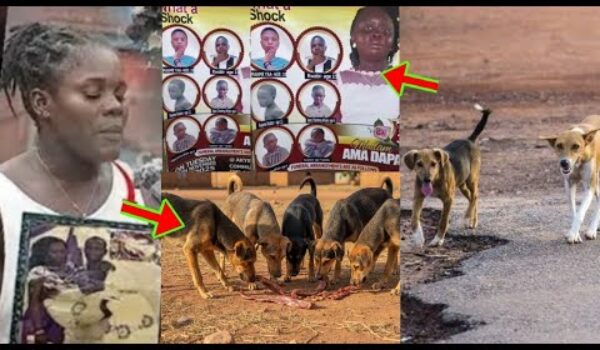 Dunkwa Incident: Dogs Ate Their Remains; Sad Story Of How A Whole Family Departed From Earth