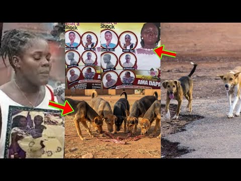 Read more about the article Dunkwa Incident: Dogs Ate Their Remains; Sad Story Of How A Whole Family Departed From Earth