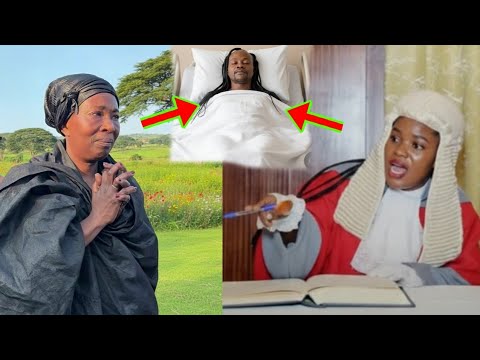 Read more about the article According To The Judge, Akosua Serwaa Cannot Take Lumba’s Body To Germany