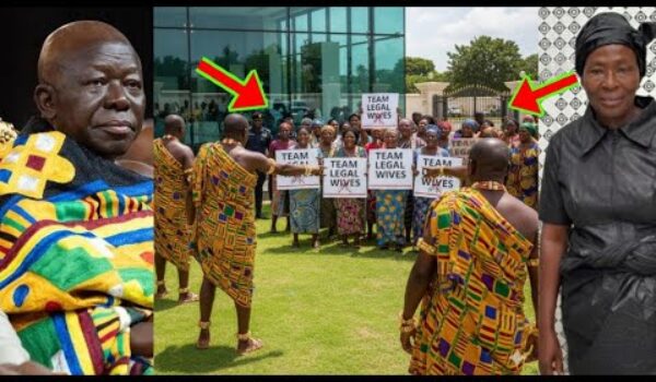 Akosua Serwaa’s Legal Wives’ Team Sacked From Manhyia For Going There To Protest