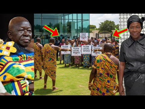 Read more about the article Akosua Serwaa’s Legal Wives’ Team Sacked From Manhyia For Going There To Protest