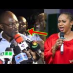 Birds Of The Same Feather, What A Punchline, Hon. Kennedy Agyapong Responded To Adwoa Safo Attack