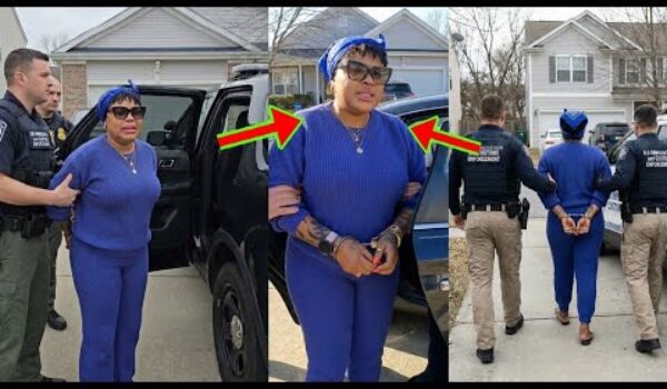 US Immigration Aba Mu As Nkrataasɛm Lands Afia Schwar In Trouble, Her Fellow Ghanaian Reports Her