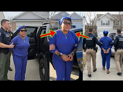 Read more about the article US Immigration Aba Mu As Nkrataasɛm Lands Afia Schwar In Trouble, Her Fellow Ghanaian Reports Her