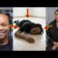 odo broni finally revealed where she buri£d daddy lumba as she clashes with hoahi at police station