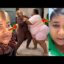 xandy kamel & priscy1 cl@sh over whose b0dy is nicer as they b0dy sh@mes each other